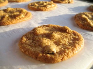 julesgfcookiesingle